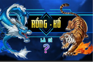 Đôi nét giới thiệu về Rồng Hổ PG99