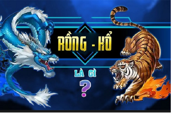 Đôi nét giới thiệu về Rồng Hổ PG99